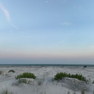 Meet your Posher, Graham